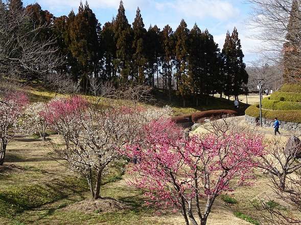 b0299042_1333683.jpg