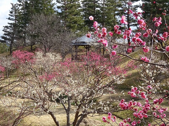 b0299042_1334329.jpg