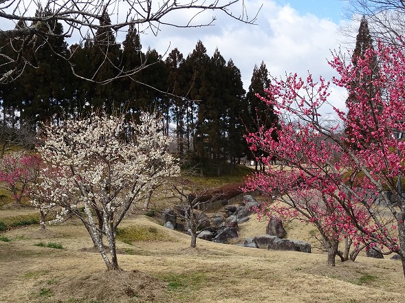 b0299042_1373163.jpg