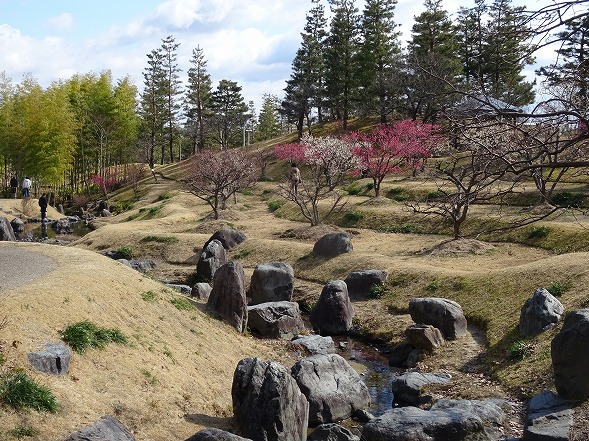 b0299042_1374283.jpg