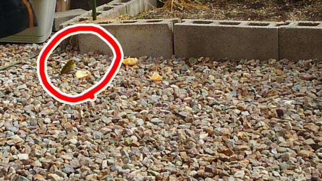 c0194042_17541462.jpg