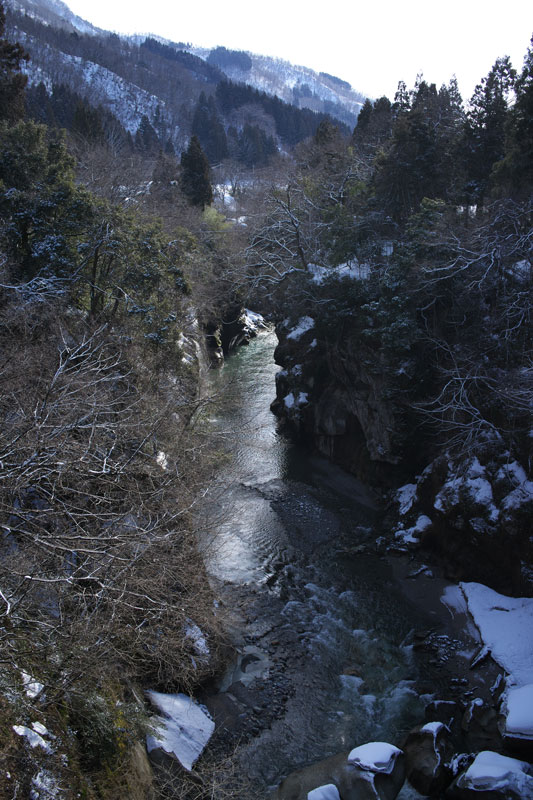 d0342652_15384667.jpg