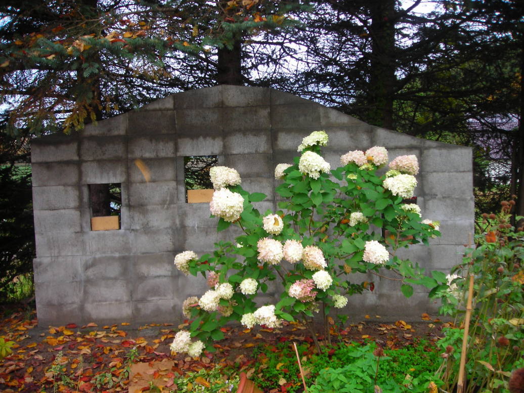 e0326953_11190161.jpg