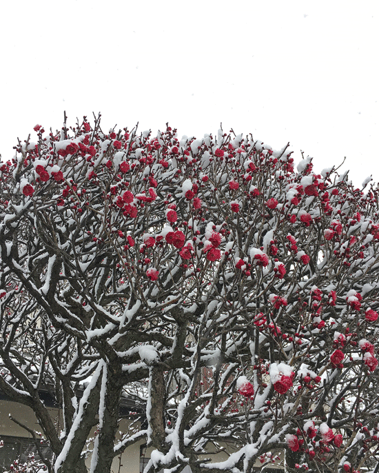 a0001354_22395016.gif