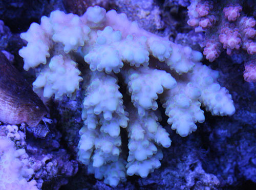 c0165758_01460586.jpg