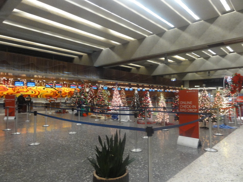d0029363_19173919.jpg