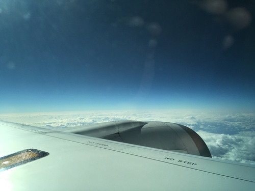 d0029363_1925168.jpg