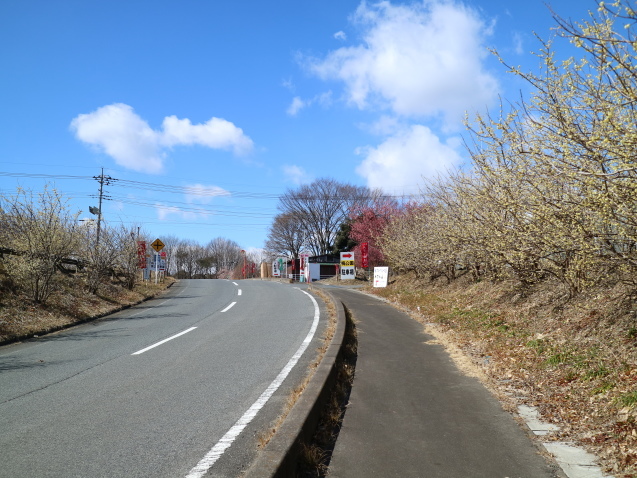 f0345263_21372510.jpg