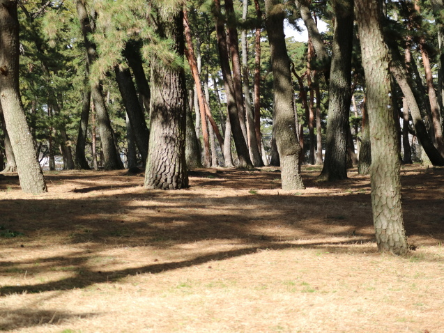 f0345263_22252181.jpg