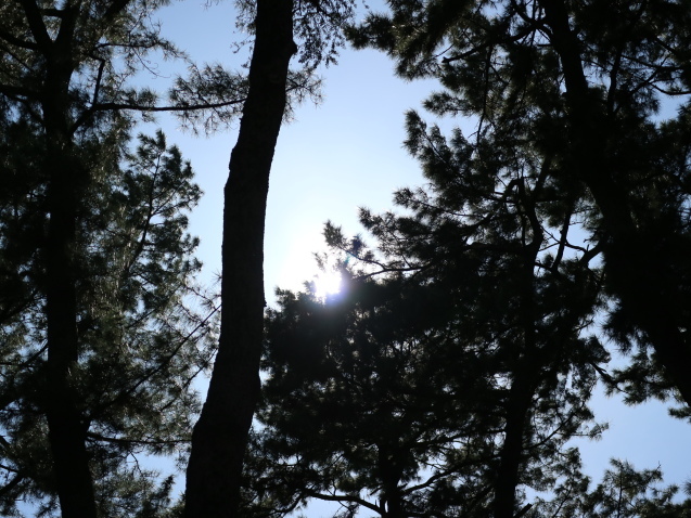f0345263_22292968.jpg