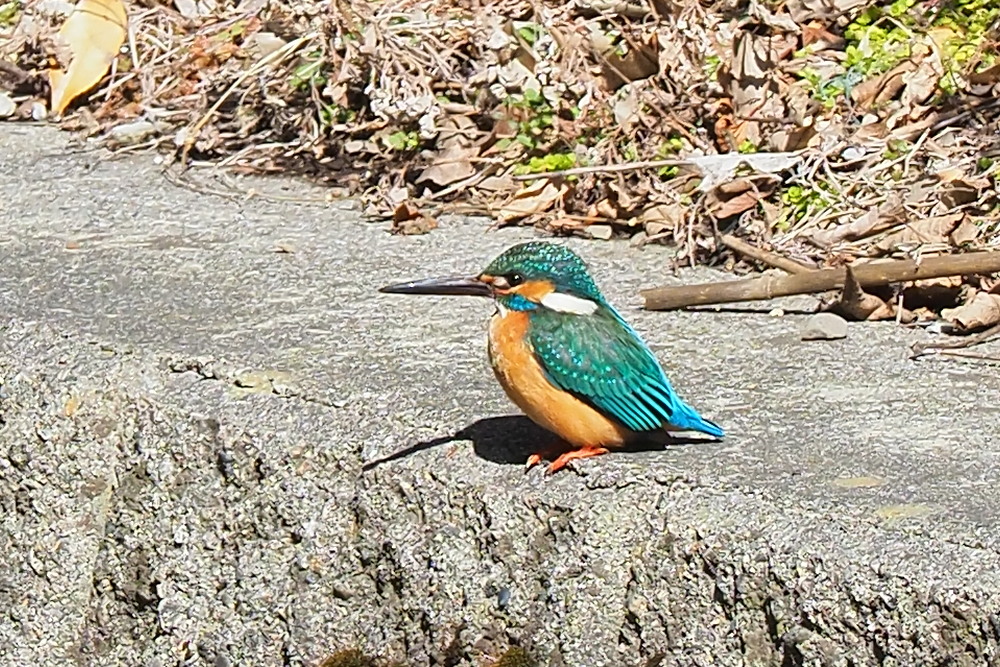 b0140765_201740.jpg