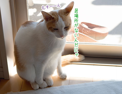 a0119470_2343858.jpg