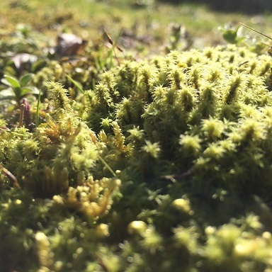 e0247279_17112872.jpg