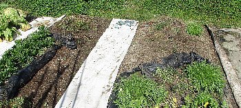 f0003283_19461036.jpg