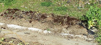 f0003283_19470818.jpg