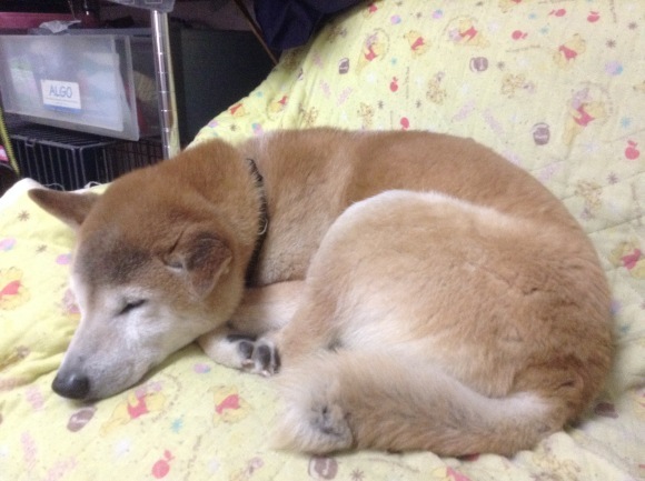 c0123890_20091125.jpeg
