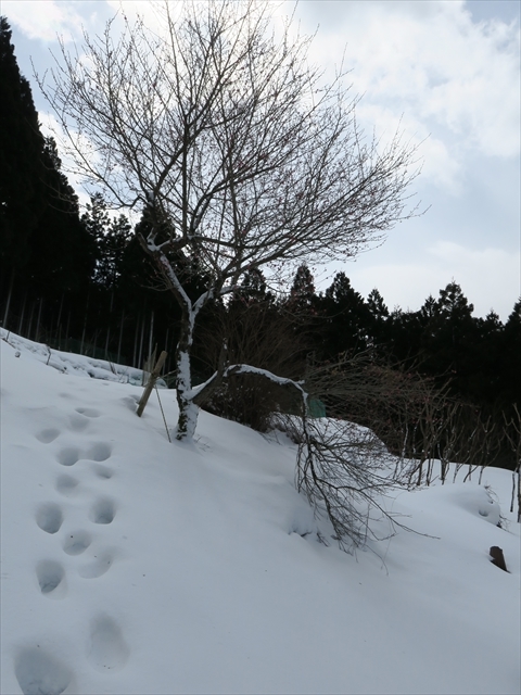 e0271890_19162349.jpg