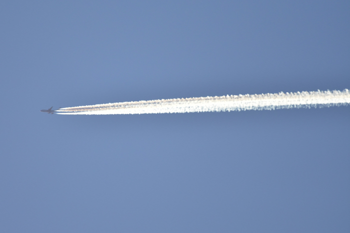 c0049299_22162101.jpg