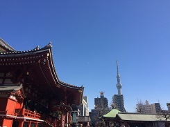 b0168801_22053531.jpg
