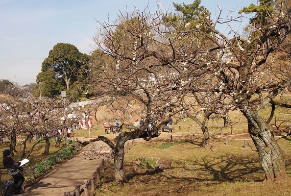 e0245404_22301115.jpg