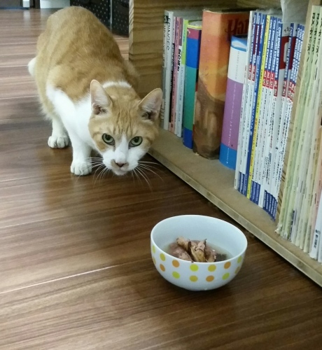 e0144012_00324153.jpeg