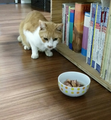 e0144012_00332328.jpeg