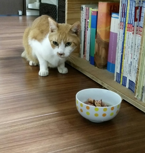e0144012_00340479.jpeg