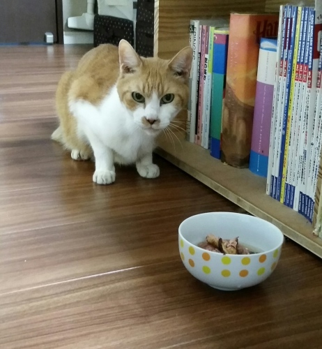 e0144012_00345223.jpeg