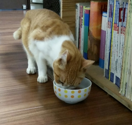 e0144012_00351974.jpeg
