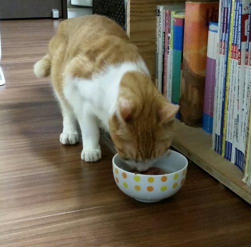 e0144012_00354918.jpeg