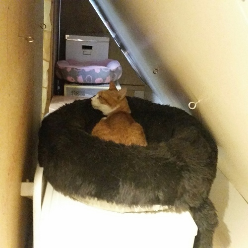 e0144012_00562688.jpeg