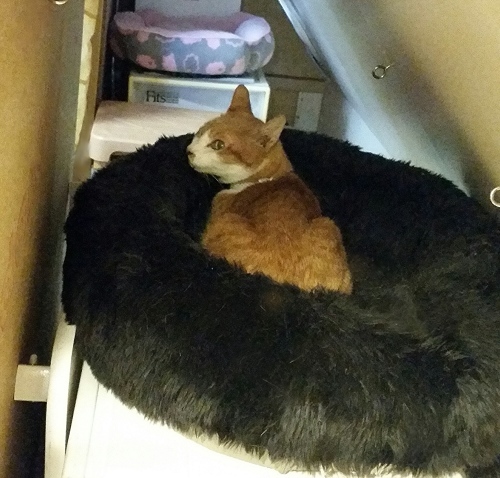 e0144012_00584020.jpeg