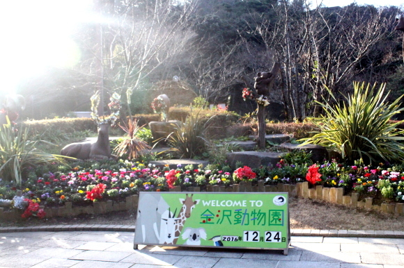 f0233916_20464871.jpg