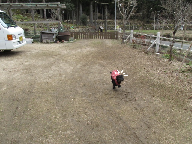 f0341616_15141023.jpg