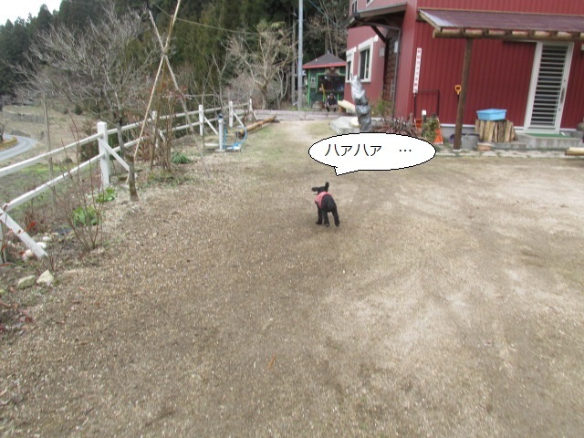 f0341616_15240896.jpg