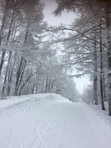 c0114121_011117.jpg