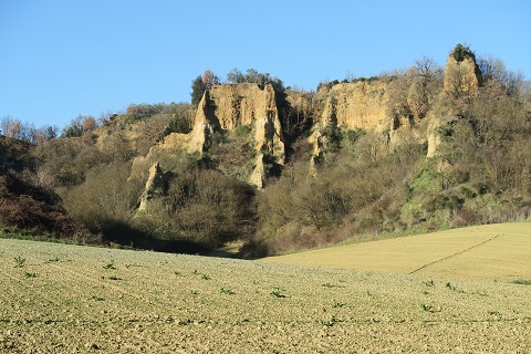 f0234936_912185.jpg