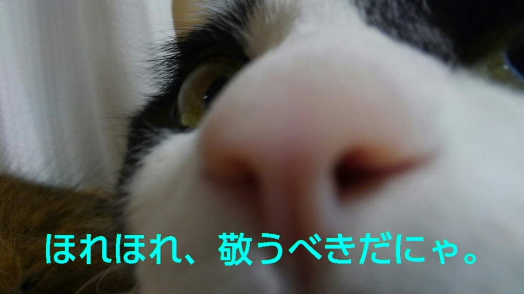 c0181639_21293232.jpg