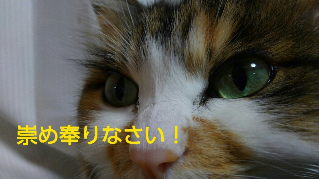 c0181639_21293634.jpg