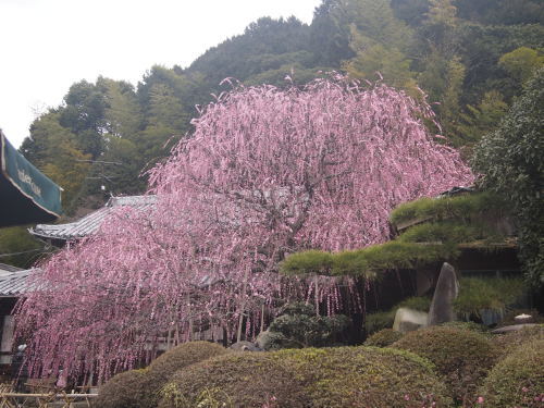 b0246758_21314251.jpg