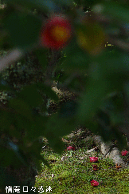 e0346064_16491268.gif