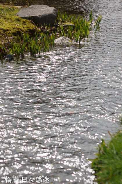 e0346064_16491270.gif