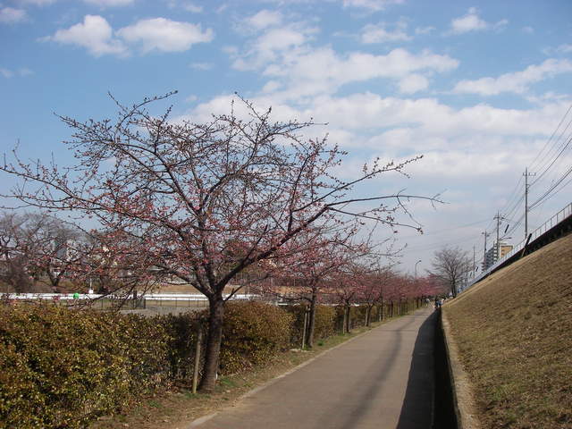 a0074069_21301970.jpg