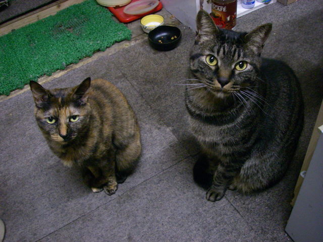 a0074069_21335935.jpg