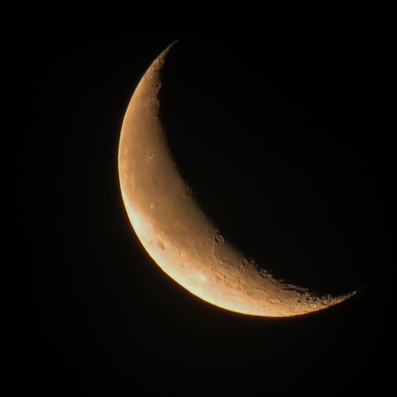 c0183777_5291796.jpg