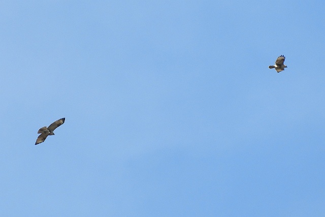 f0378979_17241081.jpg