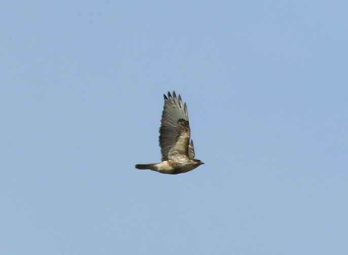 f0378979_17272196.jpg