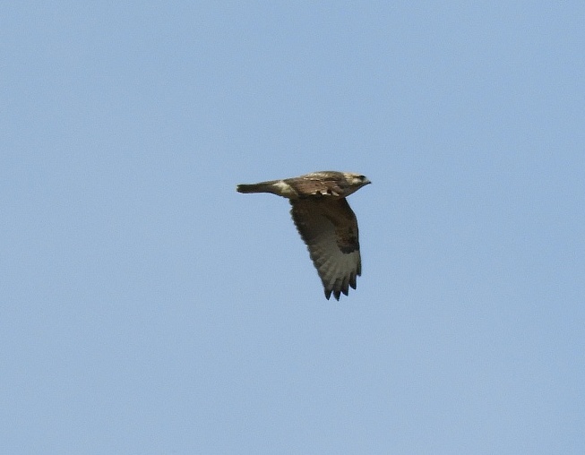 f0378979_17274061.jpg