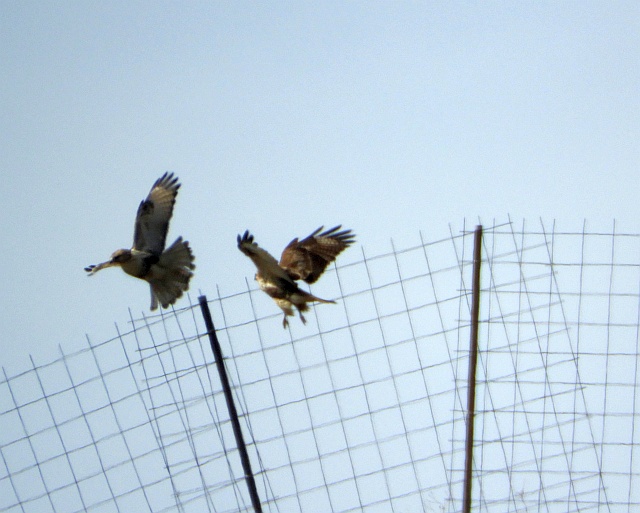 f0378979_17355052.jpg