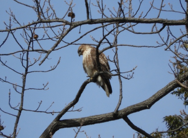 f0378979_173677.jpg
